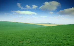 green_field_wallpaper-wide